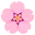 🌸