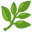 🌿